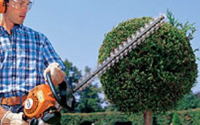 How to Trim your Hedges
